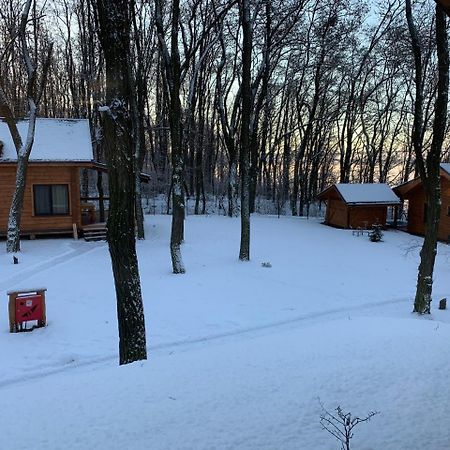 Gol&Wood Stepashki (Vinnitsia) Exterior foto