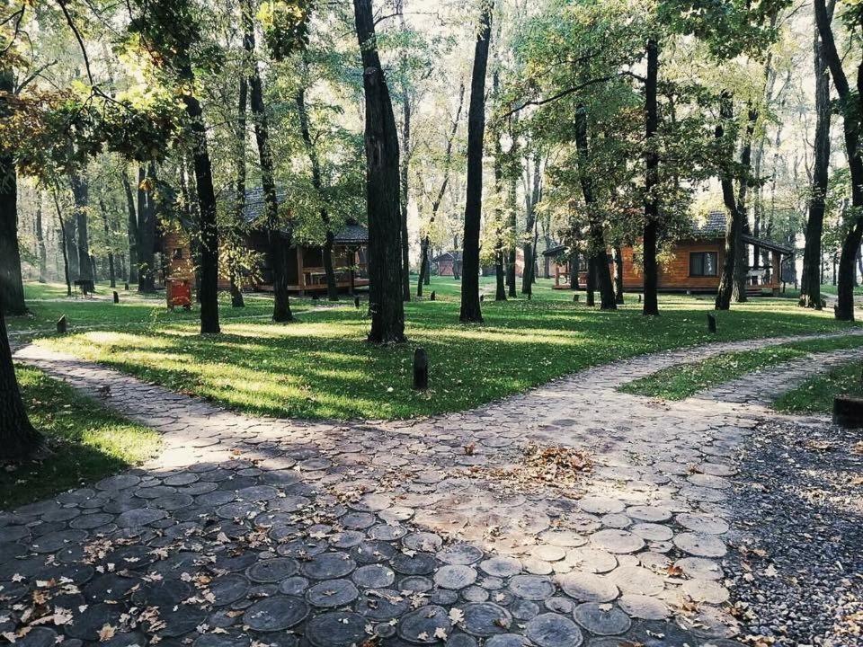 Gol&Wood Stepashki (Vinnitsia) Exterior foto